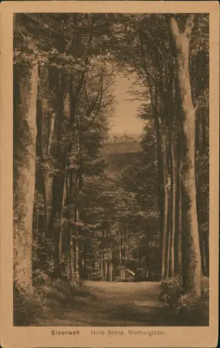 Ansichtskarte Eisenach Umland-Ansicht Hohe Sonne, Wartburgblick 1910