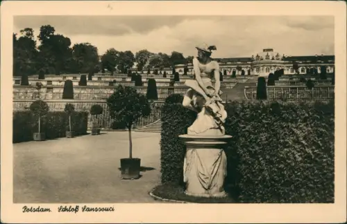 Ansichtskarte Potsdam Garten vom Schloss Sanssouci zur DDR-Zeit 1956