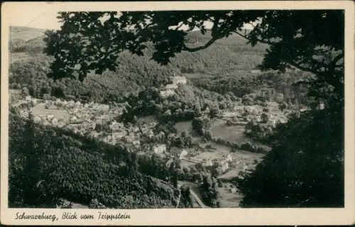Ansichtskarte Schwarzburg Schwarzburg, Blick vom Trippstein 1951