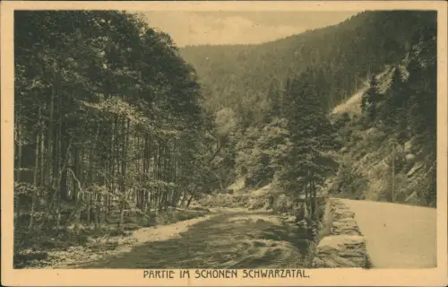 Ansichtskarte .Thüringen Schwarzatal Straße 1923