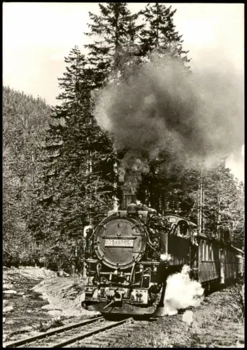 Schmalspurbahn Weißeritztalbahn Dampflok 99 1734-5 Einfahrt Kipsdorf 1982