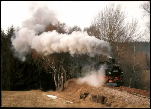 Neuheide Schönheide (Erzgebirge) Schmalspurdampflokomotive 99 582 2008