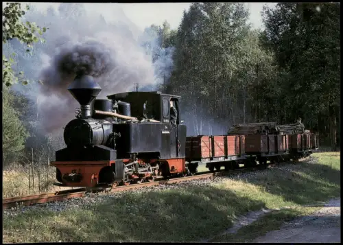 .Sachsen Muskauer Waldeisenbahn mit Lok 'Diana' und Güterzug 2000