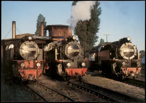 Kühlungsborn Dampflokomotiven der Bäderbahn Molli vor dem Lokomotivschuppen 1999