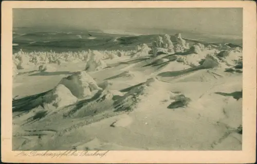 Ansichtskarte Ilsenburg (Harz) Am Brockengipfel Winter Raureif 1928