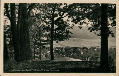 Ansichtskarte Breitungen (Südharz) Südharz Durchblick v.d. Schanze 1959
