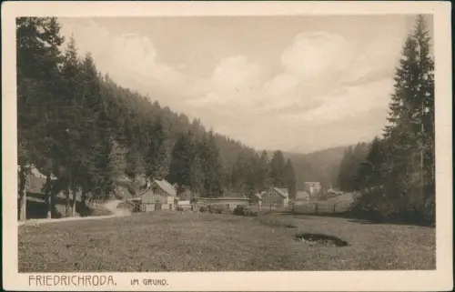 Ansichtskarte Friedrichroda Im Grund 1928