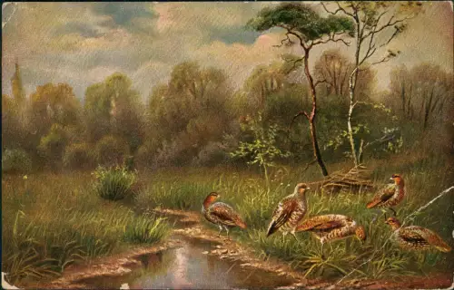 Ansichtskarte  Künstlerkarte Rebhühner am Bachlauf 1918