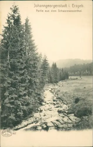 Johanngeorgenstadt Erzgebirge Partie aus dem Schwarzwasserthal. 1912