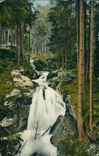Hammerbrücke-Muldenhammer Partie an den Rissfällen Wasserfall 1912