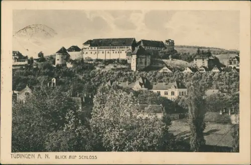 Ansichtskarte Tübingen Blick auf das Schloß 1917