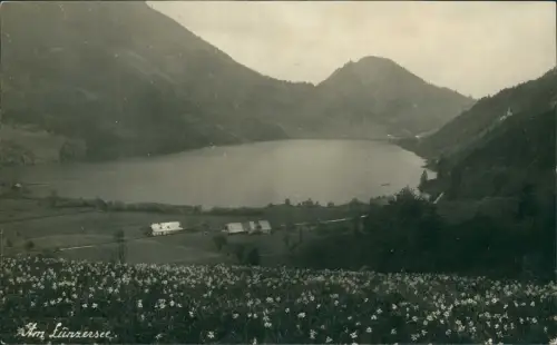 Ansichtskarte Lunz am See Blumenwiese Stadt und Lunzersee Fotokarte 1928