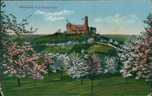 Ansichtskarte Weinheim (Bergstraße) Blütenkarte Ruine Windeck. 1914