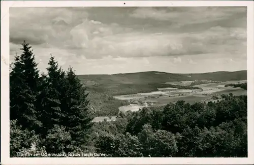 Ansichtskarte Waldmichelbach Tromm im Odenwald Blick nach Osten. 1930