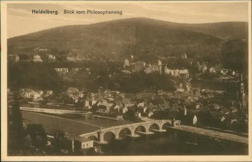 Ansichtskarte Heidelberg Panorama-Ansicht Blick vom Philosophenweg 1920