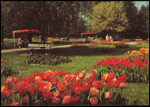 Ansichtskarte Bad Krozingen Partie im Kurpark, Blumen Beete 1997