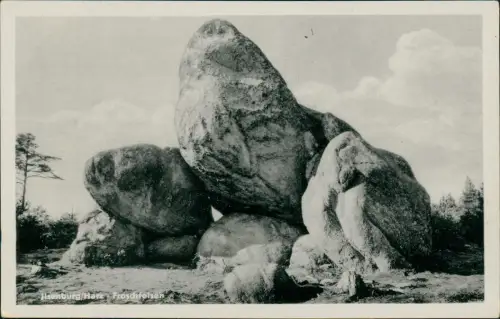 Ansichtskarte Ilsenburg (Harz) Froschfelsen 1954