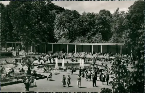Bad Neuenahr-Bad Neuenahr-Ahrweiler Partie im Kurgarten - Fotokarte 1963