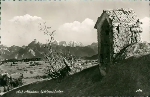 .Bayern Auf Allgäuer Gebirgspladen Blick auf Säuling u. Zugspitze 1965