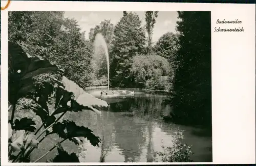 Ansichtskarte Badenweiler Schwanenteich 1930