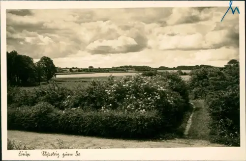 Ansichtskarte Sörup Sørup Umlandpartie am See 1930