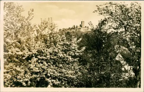 Ansichtskarte Obermurach-Viechtach Stadt Burg Baumblüte 1932