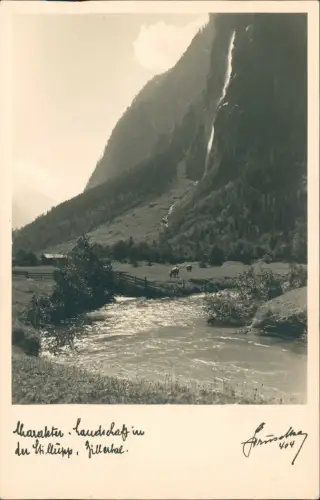 Ansichtskarte .Tirol Zillertal -Tirol Stimmungsbild Kühe Fotokarte 1930