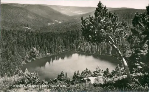 Ansichtskarte Ruhestein-Seebach Wildsee Fotokarte 1965
