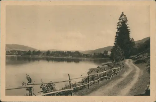 Ansichtskarte Titisee-Neustadt Titisee Schwarzwald 1928