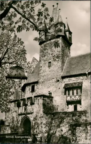 Ansichtskarte Spangenberg Schloss Spangenberg 1955
