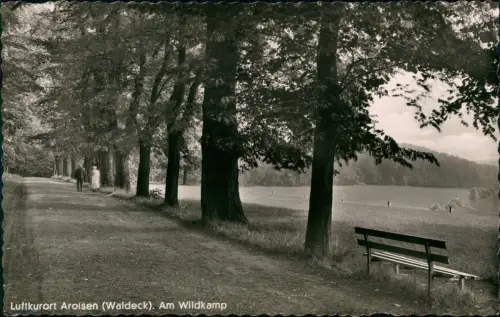 Ansichtskarte Bad Arolsen Am Wildkamp 1956