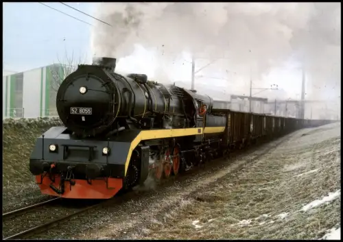 Frauenfeld Dampf-Güterzuglokomotive 52 8055 Lastprobezug Zuckerfabrik 1999