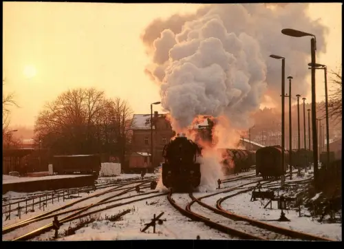 Ansichtskarte .Sachsen Güterzugschlepptenderlokomotive 50 3516 in Penig 1986