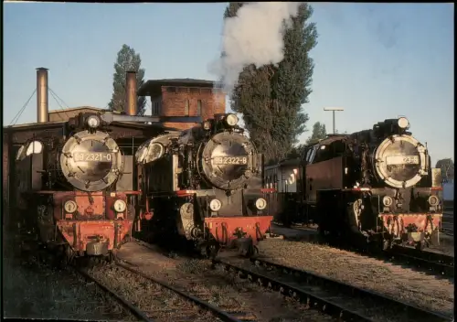 Kühlungsborn Dampflokomotiven der Bäderbahn Molli vor dem Lokomotivschuppen 1999
