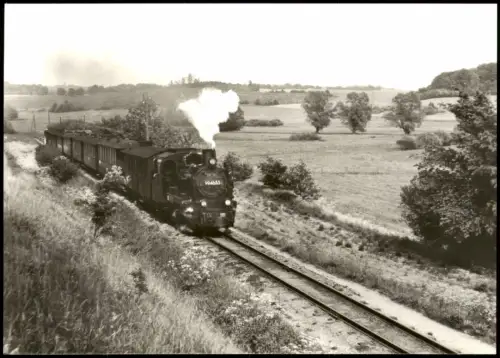 Personenzug zwischen Serams und Seelvitz Schmalspurbahn Putbus - Göhren 1983