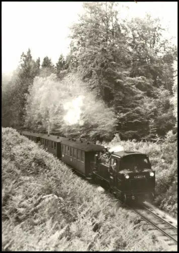 .Mecklenburg-Vorpommern Schmalspurbahn Putbus - Göhren bei Granitz 1983