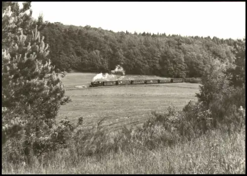 .Mecklenburg-Vorpommern Schmalspurbahn Putbus Personenzug bei Seelvitz 1983