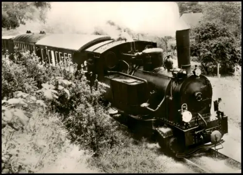 Ansichtskarte  Museums-Eisenbahn Bruchhausen Vilsen Dampflokomotive 1998