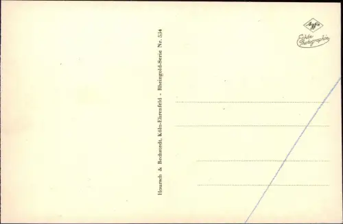 Ansichtskarte Bingen am Rhein Burg / Schloss Rheinstein mit Rheindampfer 1950