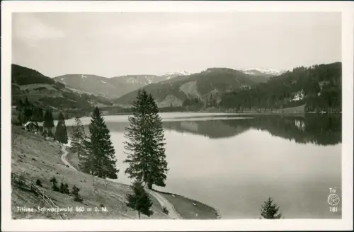Ansichtskarte Titisee-Neustadt Weg am Titisee Schwarzwald Fotokarte 1932