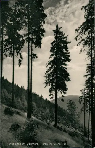 Hahnenklee-Bockswiese-Goslar Oberharz. Partie im Grane-Tal Stimmungsbild 1959