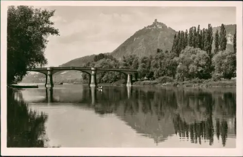 Königswinter Blick von der Insel Grafenwerth auf Drachenfels 1963