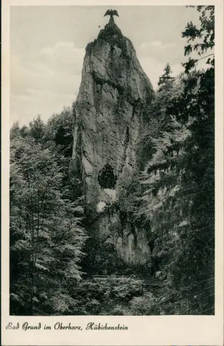 Ansichtskarte Bad Grund (Harz) Oberharz, Hübichenstein 1956  Notopfer Berlin