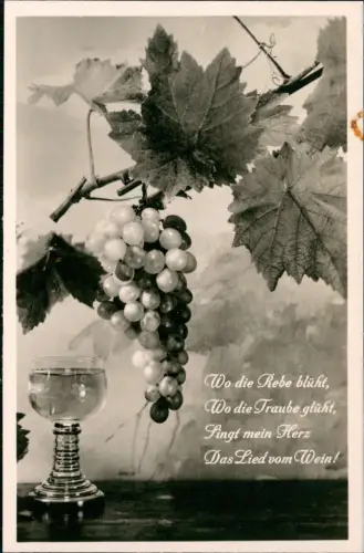 Ansichtskarte  Fotokunst Wo die Rebe blüht, Wein Weinglas 1950