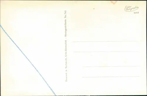 Ansichtskarte  Fotokunst Wo die Rebe blüht, Wein Weinglas 1950