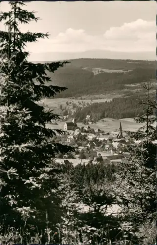 Ansichtskarte Bischofsgrün Blick durch die Bäume auf die Stadt 1957