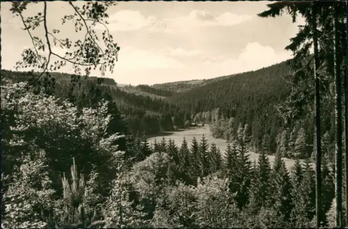 Ansichtskarte Heigenbrücken Fotokarte Lohrgrundtal 1966