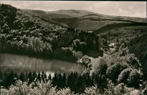 Ansichtskarte Daun Eifel Gemündener Maar Eifel - Fotokarte 1964