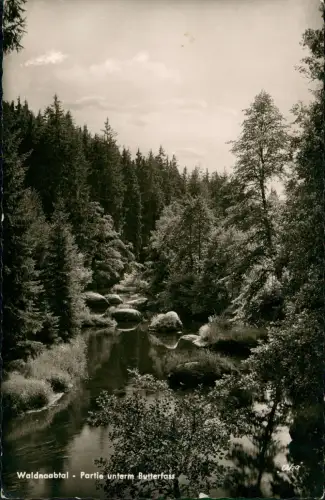 Falkenberg (Oberpfalz) Waldnaabtal Partie unterm Butterfass - Fotokarte 1963