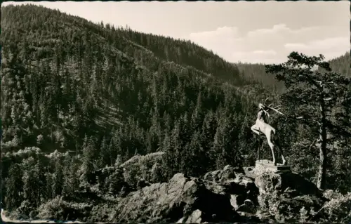 Ansichtskarte Hof (Saale) Hirschensprung über dem Höllental 1962